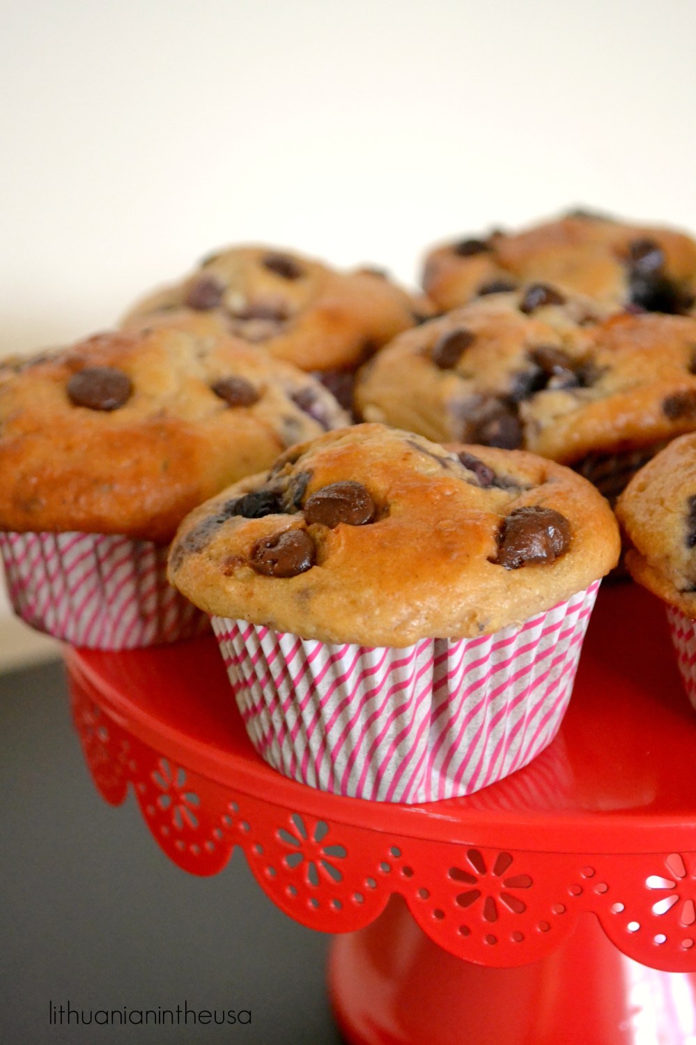 aviziniu-dribsniu-jogurto-ir-melyniu-keksiukai-8-1