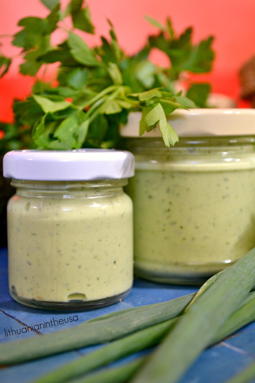 avokadu-ir-graikinio-jogurto-padazas-7-1