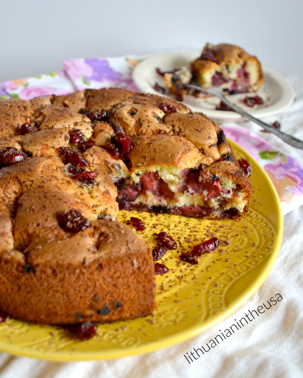 Purus, biskvitinis uogu pyragas (74) 1