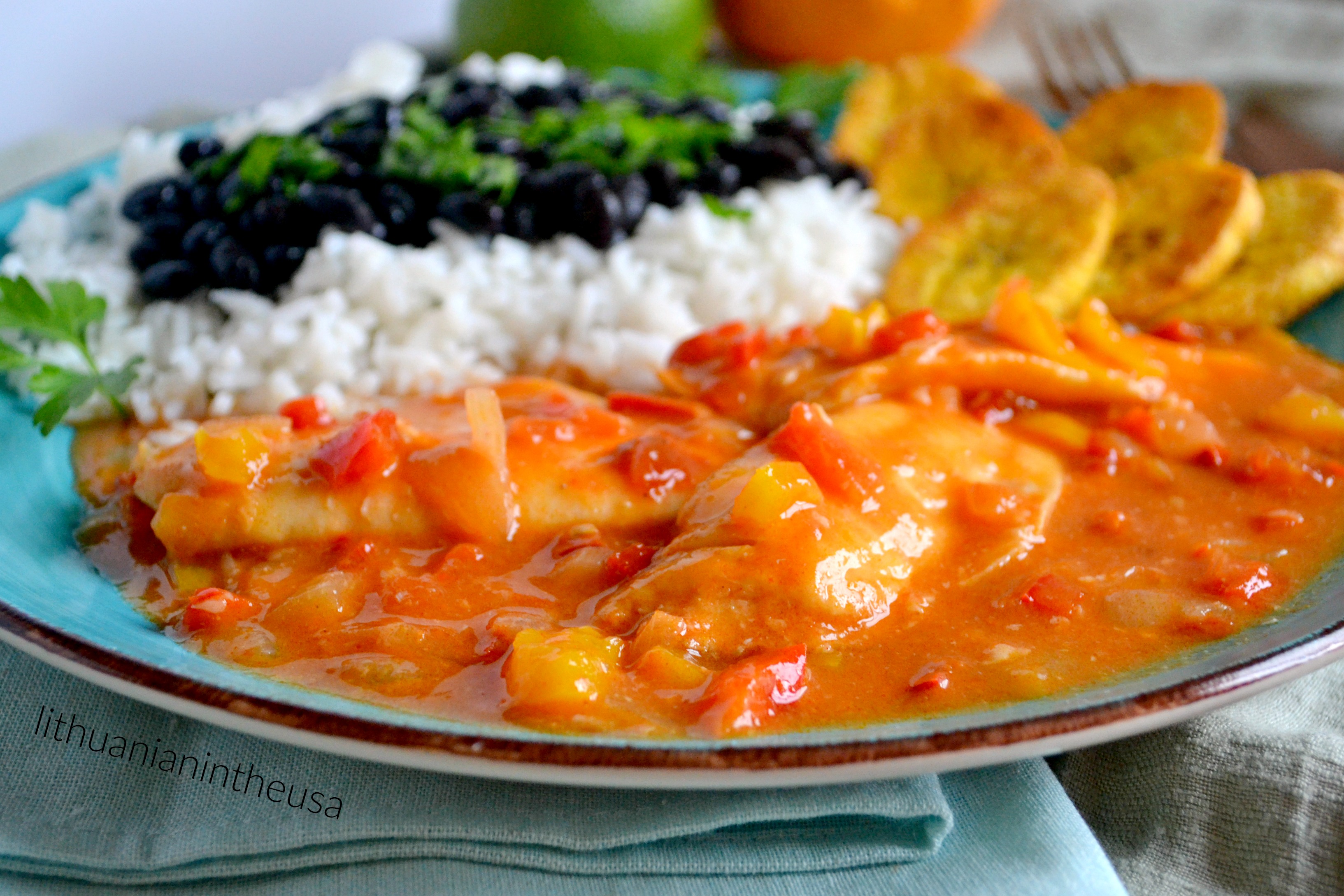 Ecuadorian Fish in Coconut Milk Sauce (Encocado de Pescado)/Žuvis ...
