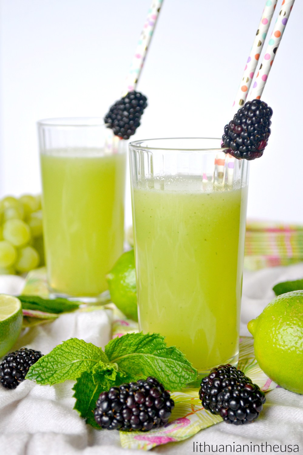 Gaivinantis gerimas agua fresca (21) 1