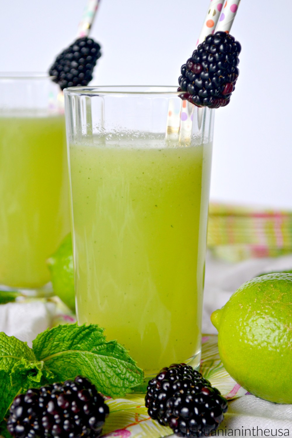 Gaivinantis gerimas agua fresca (24) 1