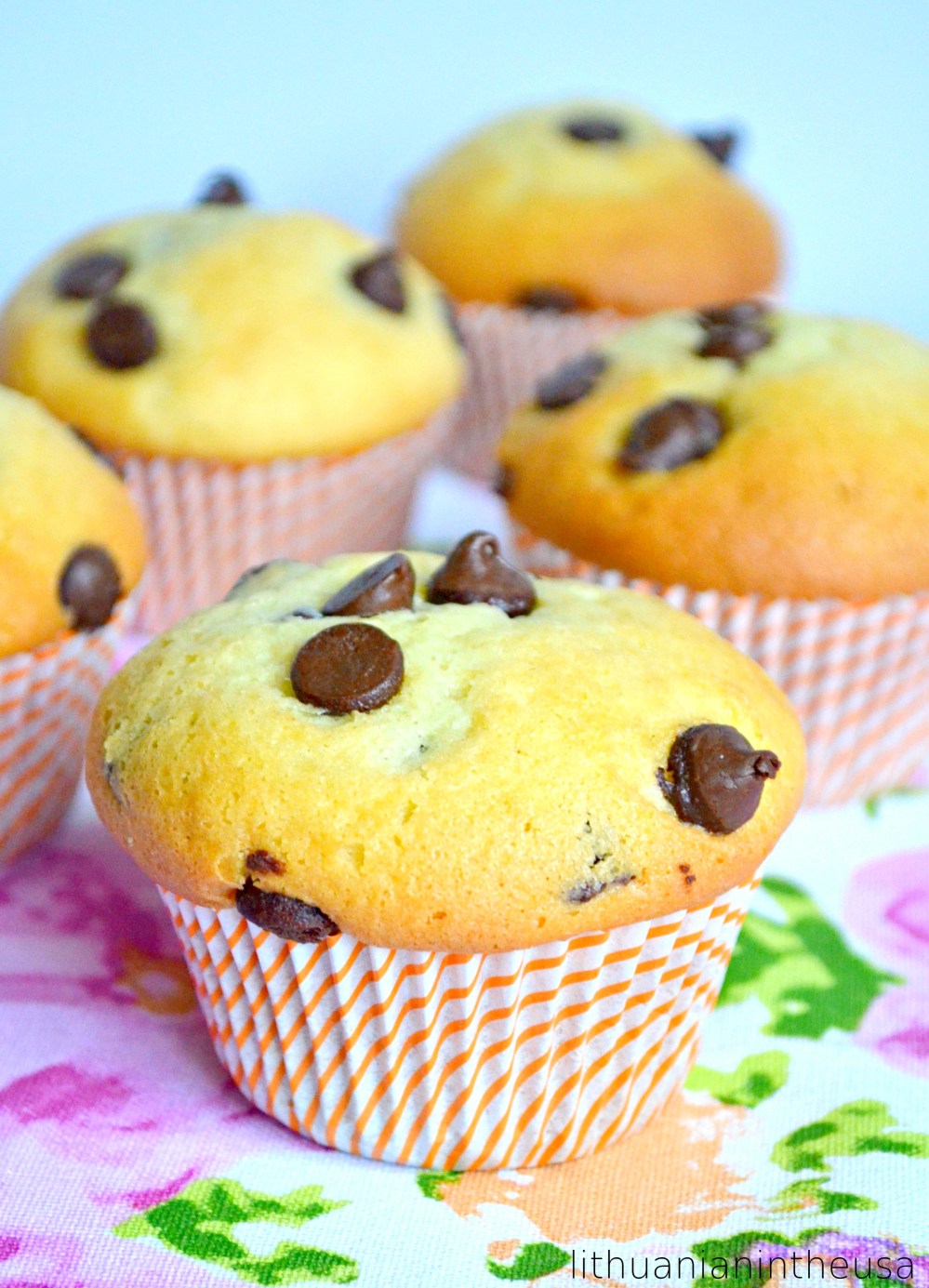 Keksiukai su sokolado gabaleliais (34) 1