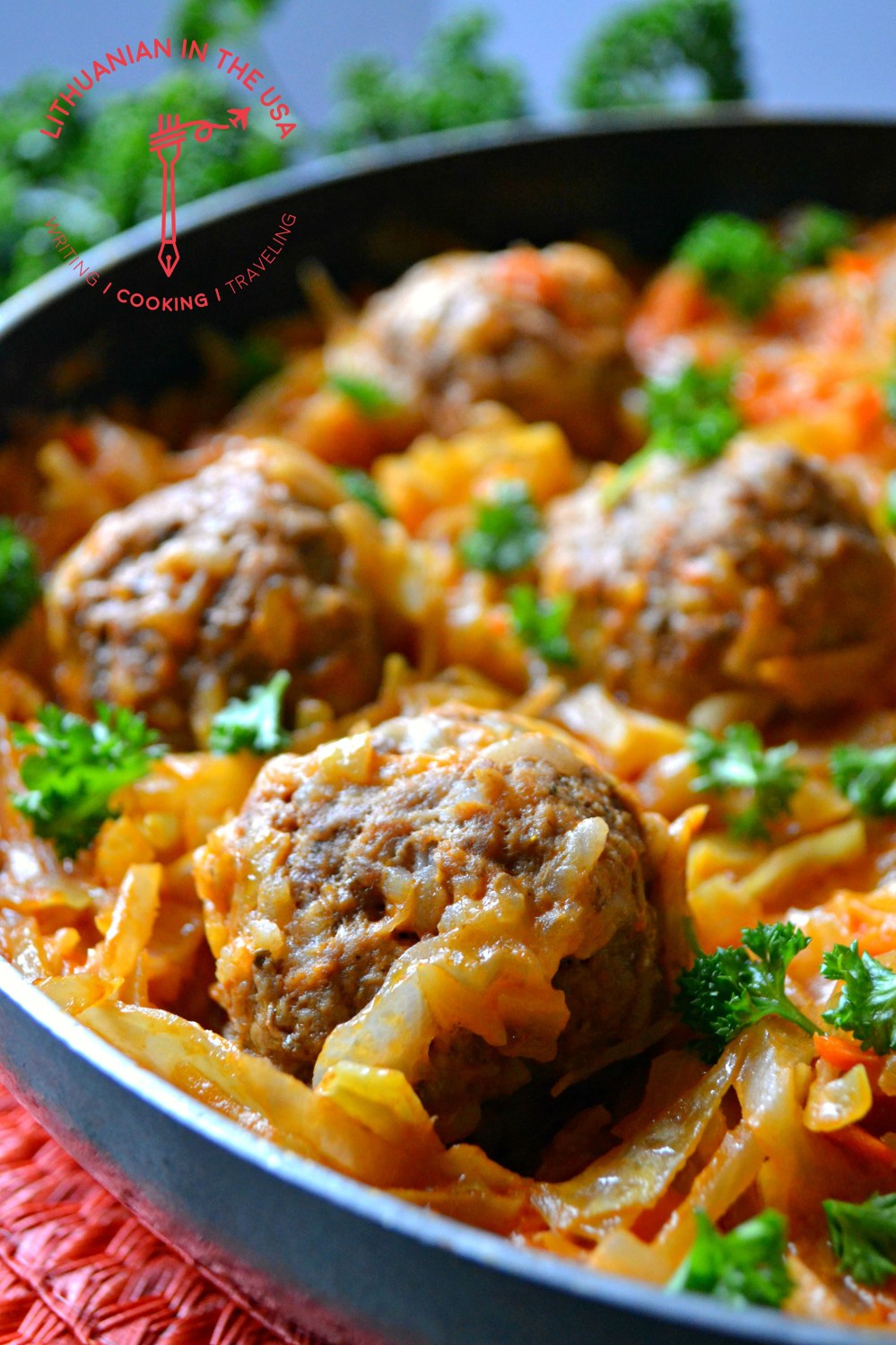 Tinginiu balandeliai keptuveje (80) 1