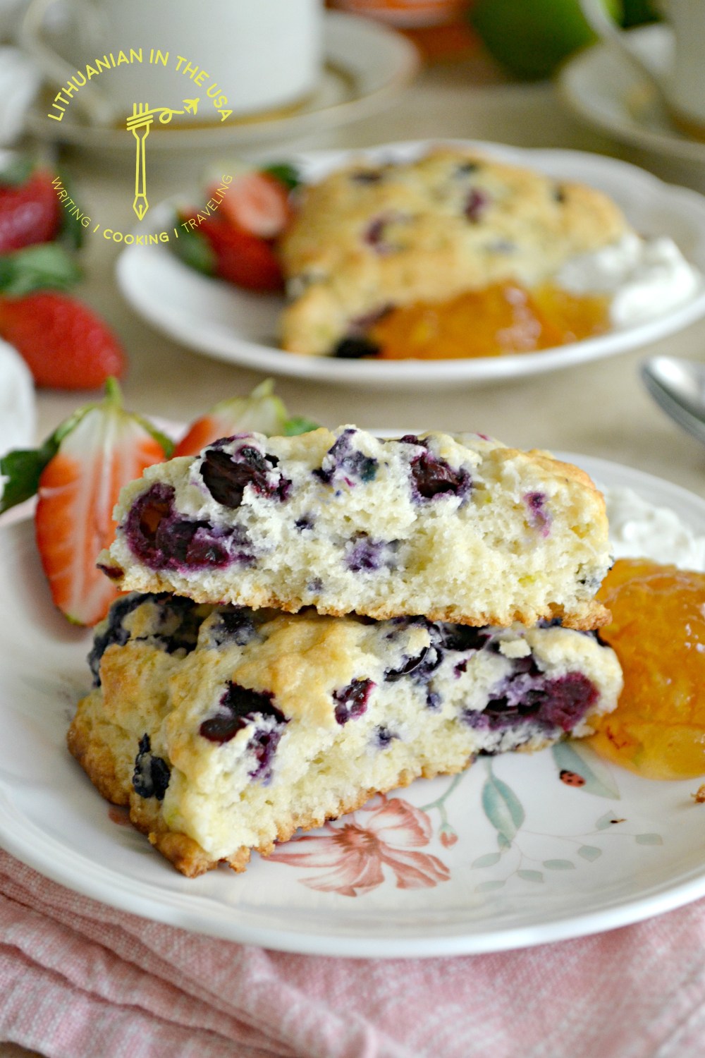 melyniu citrinu scones (74) 1