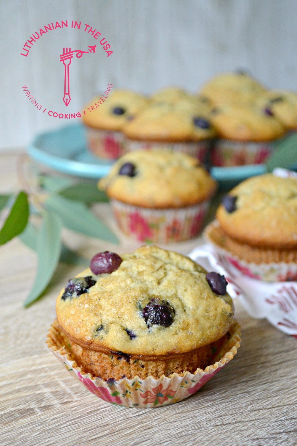 Bananiniai melyniu keksiukai (54) 1