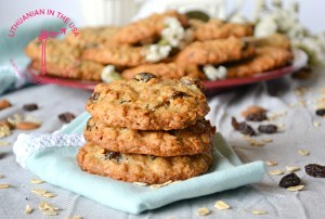 oatmeal-raisin-cookies-36-1