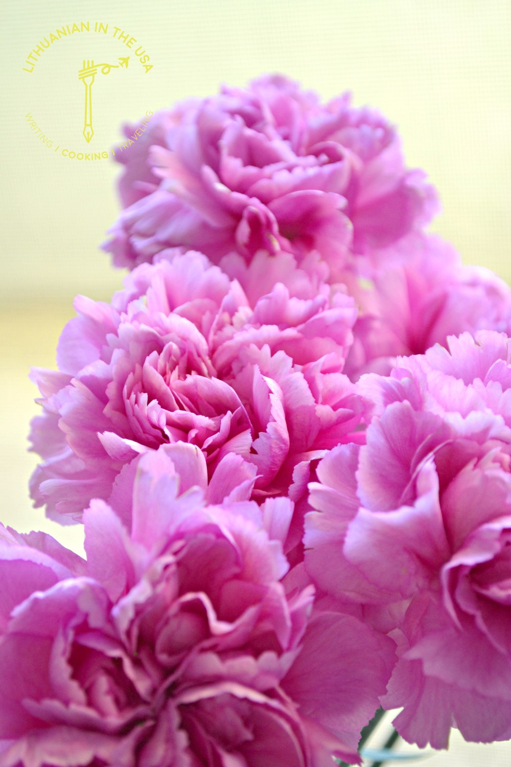 Sausainiu kvadrateliai su sokolado gabaliukais (41) 1