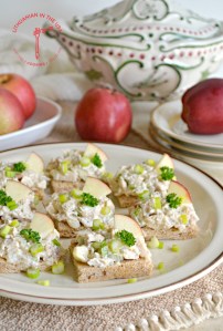 vistienos-salotos-su-obuoliu-9-1